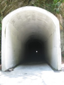 白楊步道入口長隧道